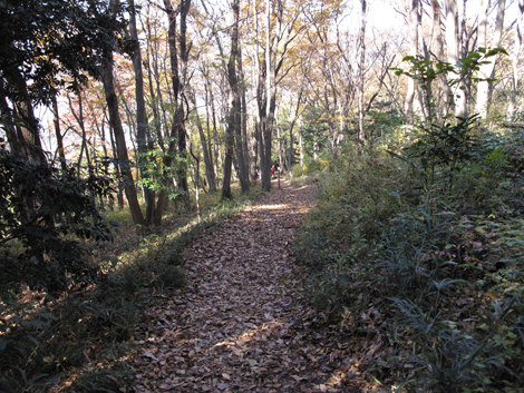 20151209hike (105)